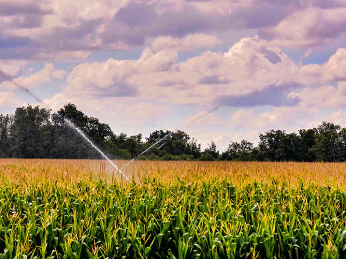 Rolnictwo a jakość i ilość wody w Polsce
