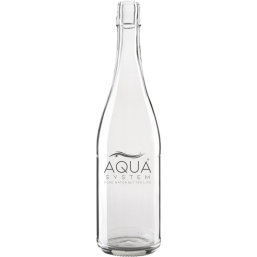 Bidony / butelki / karafki Butelka szklana z zamknięciem patentowym o pojemności 750 ml.